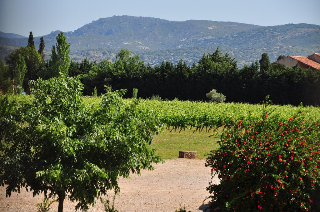 Chateau De Jonquieres - Herault Exterior foto